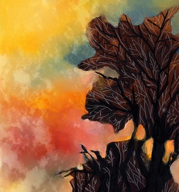 Feu la Forêt