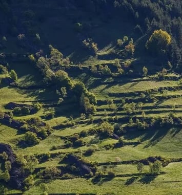 Sortie à la découverte des murets en pierres sèches