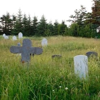 Les cimetières vous parlent