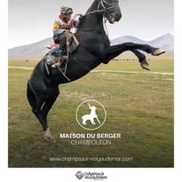 Visite libre des expositions de la Maison du Berger