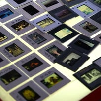Visite guidée des Archives : mise au point sur les collections photographiques