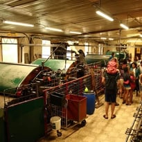 Visite filature de laine "Longo Maï" par l'un de ses fondateurs